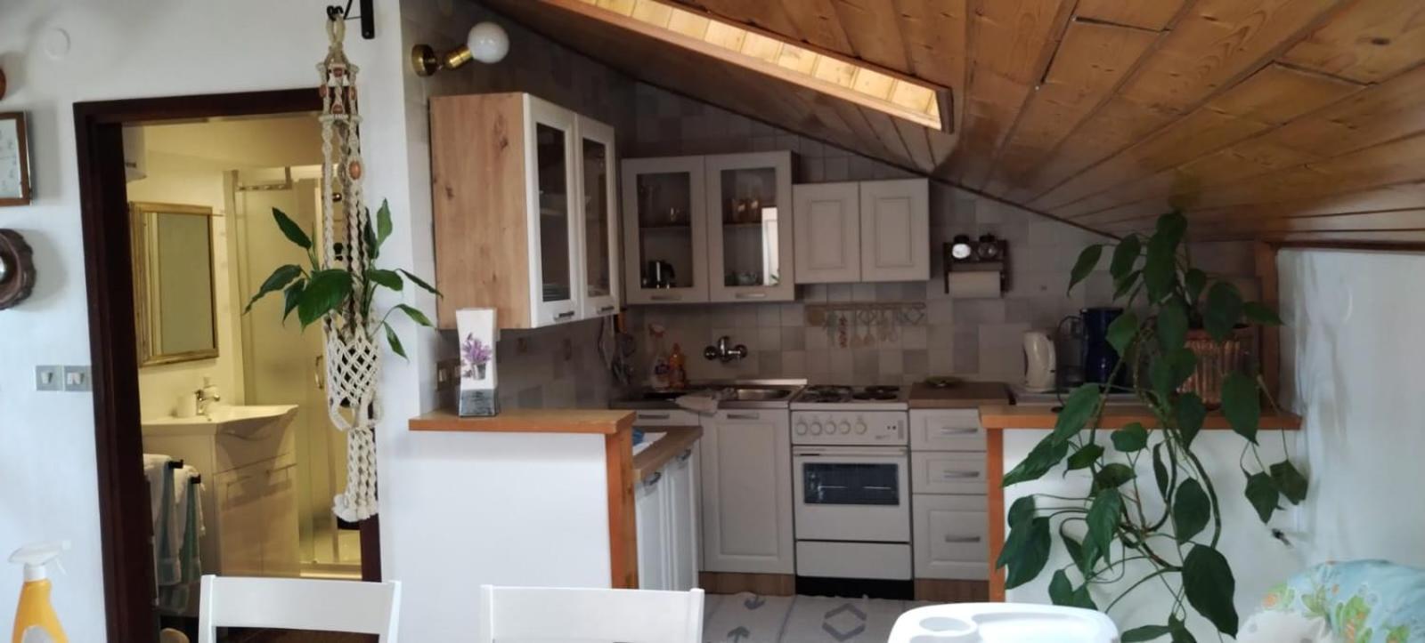 Apartment Gaudeamus Umag Exteriör bild